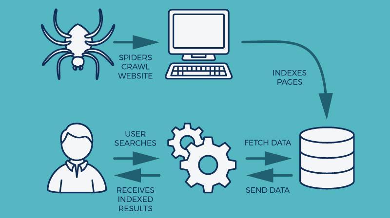 How Google Really Finds and Indexes New Websites